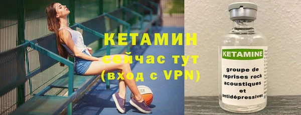 шишки Белокуриха