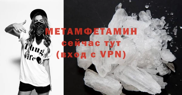 шишки Белокуриха