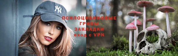 гашик Нестеровская