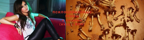гашик Нестеровская