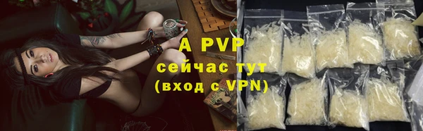 гашик Нестеровская