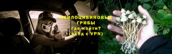 кристаллы Фёдоровский