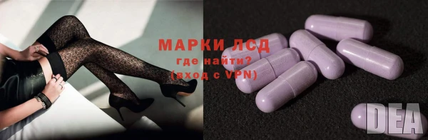 шишки Белокуриха