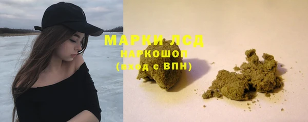 гашик Нестеровская