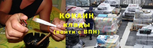 сатива Белоозёрский