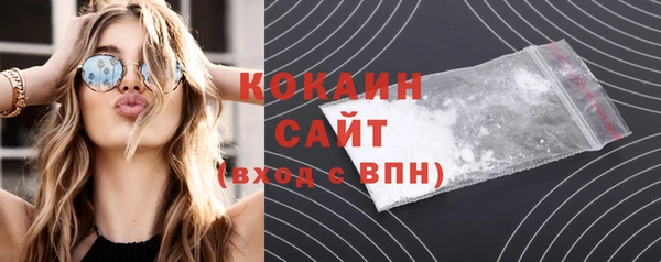 шишки Белокуриха